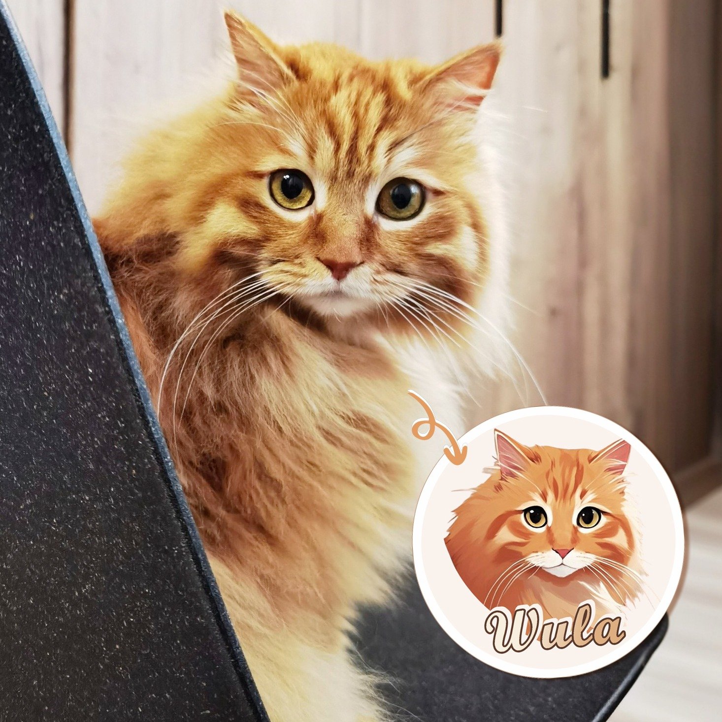 Customize Pet Portraits - AI Art | Free Gifts for Cat & Dog Lovers | Free For a Limited Time - Image 6