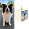 Memory Lamp for Pet Loss – Personalized Angel Pet Memorial Light | Dog & Cat Memorial Gifts for Grieving a Pet