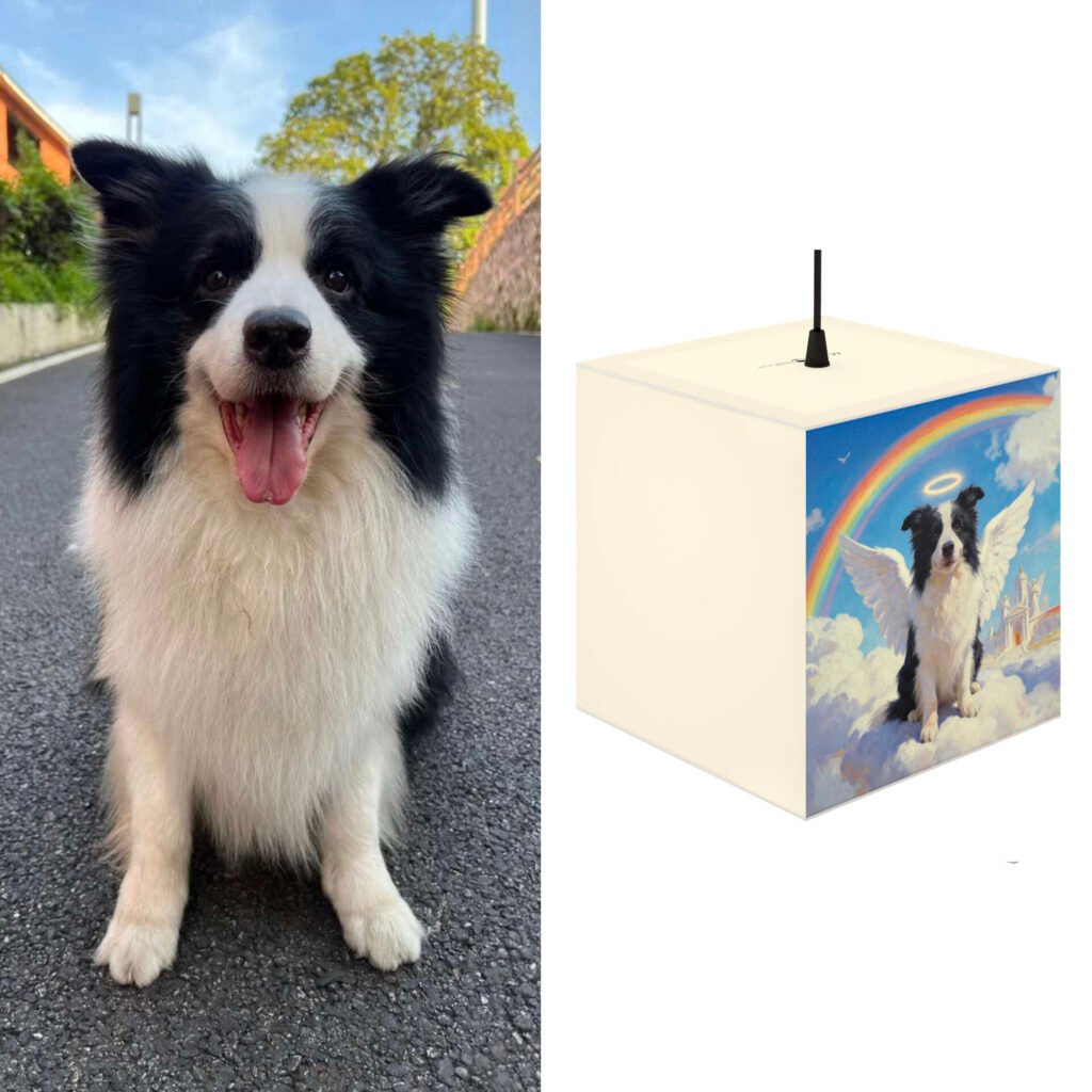 Memory Lamp for Pet Loss – Personalized Angel Pet Memorial Light | Dog & Cat Memorial Gifts for Grieving a Pet