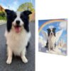 Using an ai pet portrait generator to transform a dog photo into a soulful, personalized pet portrait for a unique memorial keepsake.
