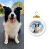 Personalized Memorial Ornaments for Dogs & Cats – Custom AI Angel Portrait | Pet Memorial Ornament, Pet Loss Gift for Grieving a Pet