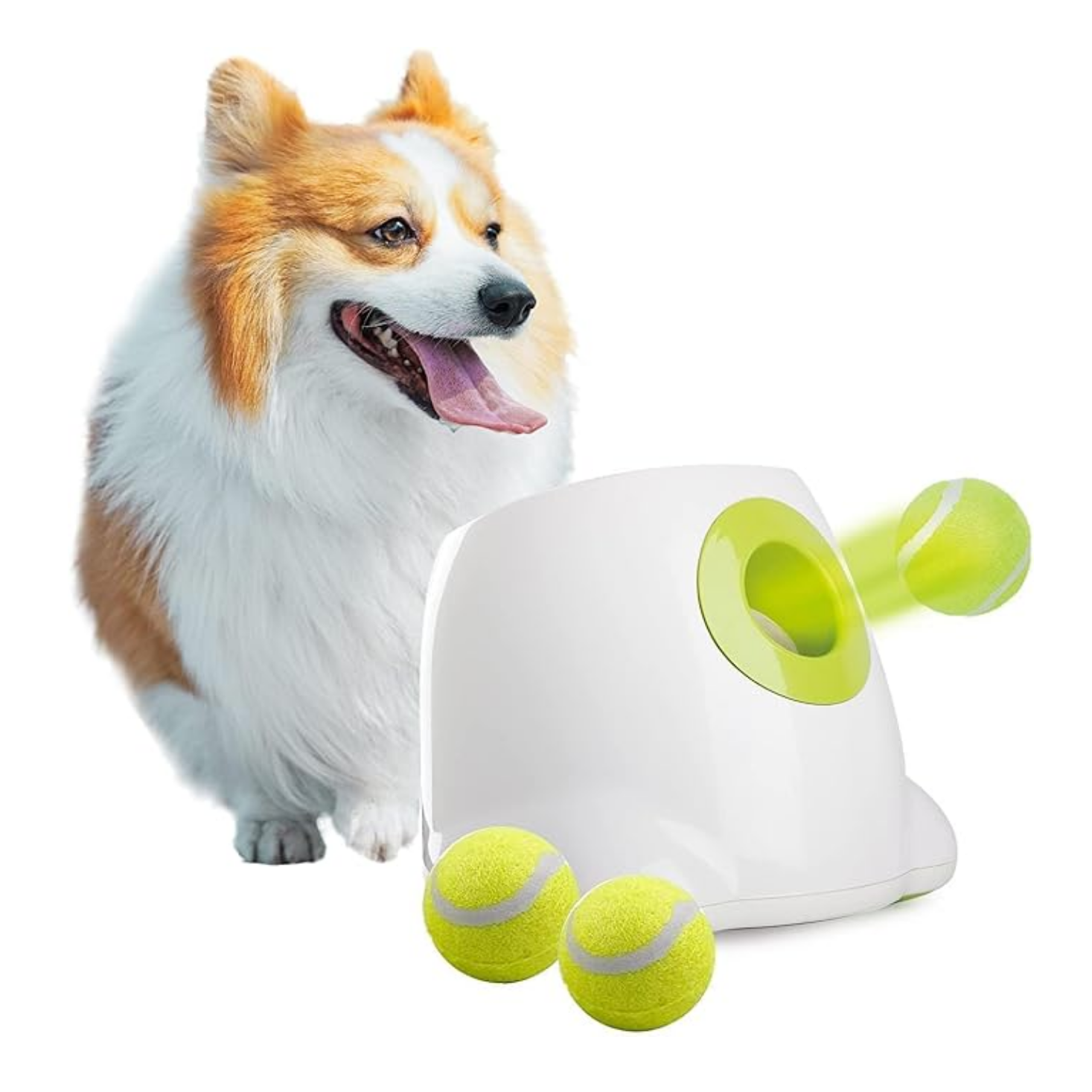 ALL FOR PAWS (AFP) Automatic Dog Ball Launcher