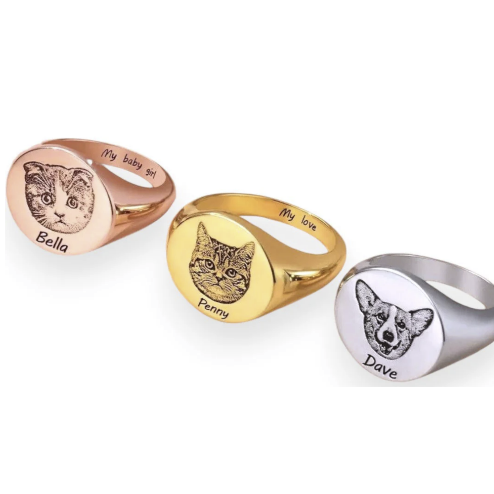 Pet Portrait Signet Ring