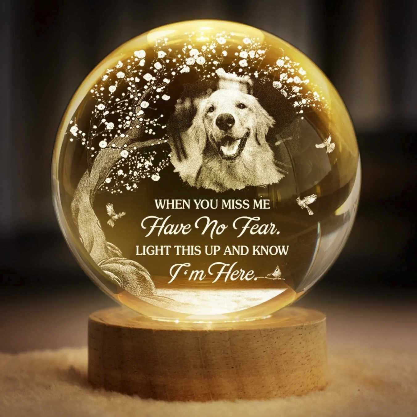 Custom Photo Crystal Globe Lamp Personalized Pet Memorial Sympathy Gifts