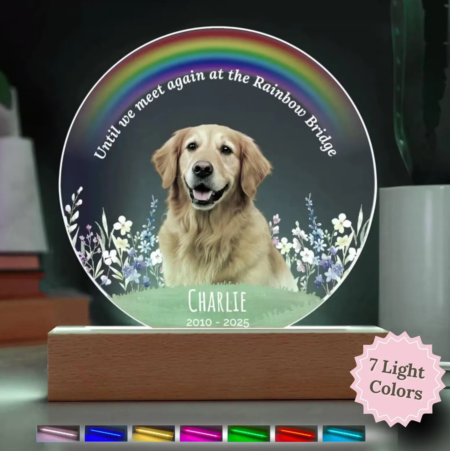 Pet Photo Memorial Plaque Custom LED Night Light Dog or Cat Loss Gift