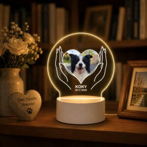 Personalized round night light glowing softly at night, a warm dog remembrance gift with three-level touch dimming